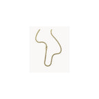 Collier Fossil Collection Adventurer en Acier - 2